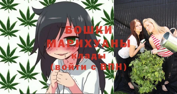 гидропоника Алзамай