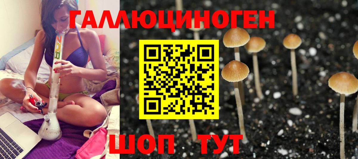 Меф   МДМА  Вход с VPN  Бошки Шишки  МЕТ  ТГК  Похвистнево  Гашиш  Меф 
