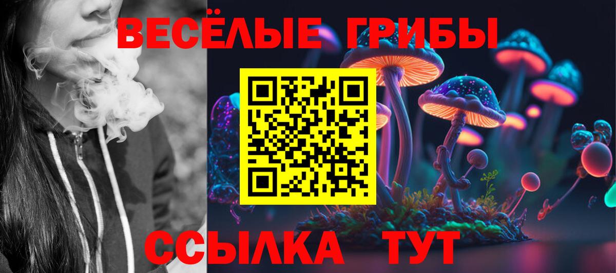 Галлюциногенные грибы мицелий Похвистнево