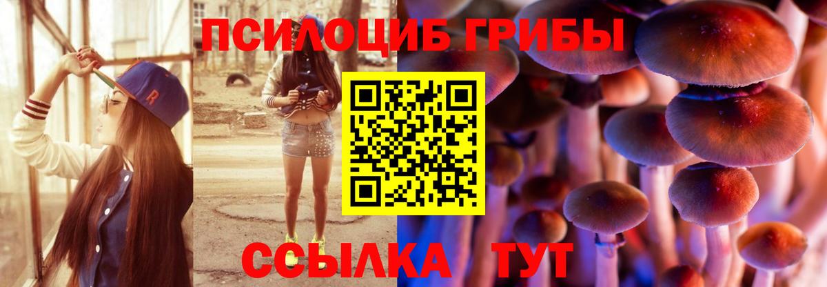 Псилоцибиновые грибы мицелий  Вход с VPN  Похвистнево 
