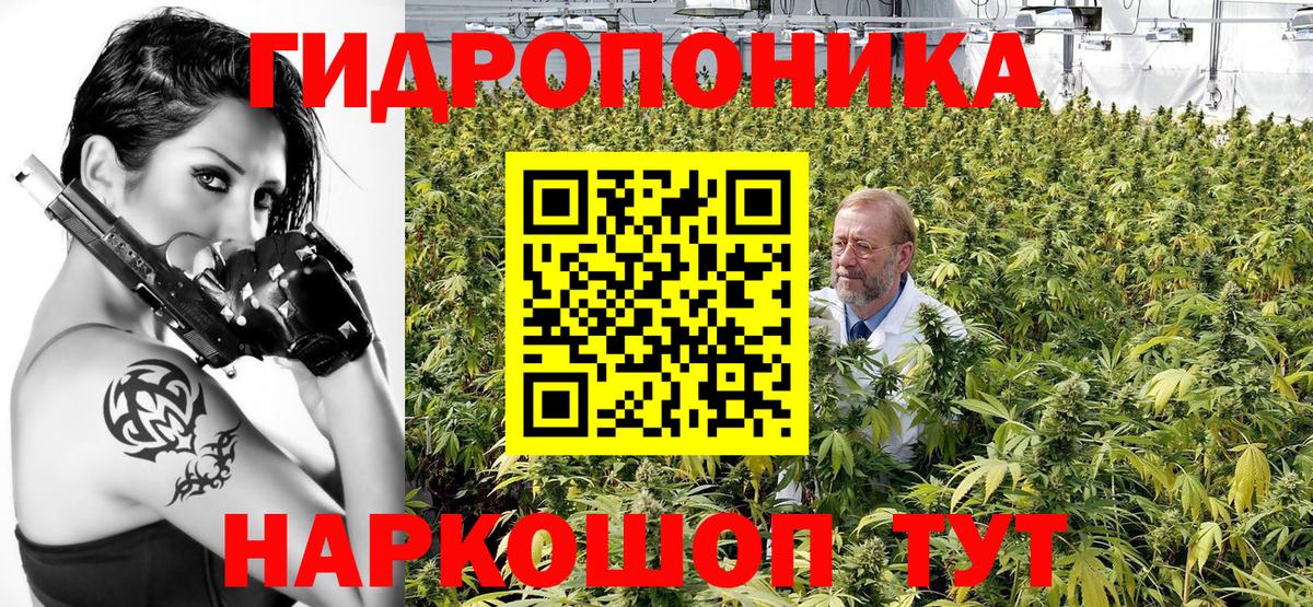 Конопля гибрид  Каннабис MAZAR  Вход с VPN  Похвистнево  Конопля MAZAR  Конопля индика 